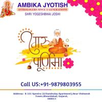 Best Indian Astrologer in the UK - Ambika Jyotish image 4